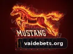 Cadastro na vaidebet